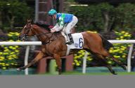 Race 7, COPARTNER PRANCE(6), ridden by Zac Purton, won THE FRANCE GALOP CUP(class 3, 1200m) at Happy Valley. 01MAY24 SCMP \/ Kenneth Chan