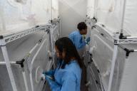 (240519) -- RIO DE JANEIRO, May 19, 2024 (Xinhua) -- Staff members inspect breeding containers of Aedes aegypti mosquitoes carrying Wolbachia at the Oswaldo Cruz Foundation\