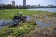 MUMBAI, INDIA - APRIL 19: Boat equipped with cutting or harvesting equipment removing water hyacinth and other unrooted weeds from the surface of the Powai lake before the onset of monsoons on April 19, 2024 in Mumbai, India. (Photo by Satish Bate\/Hindustan Times\/Sipa USA