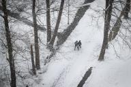 A couple walks through a park during heavy snowfall in St. Petersburg. (Photo by Artem Priakhin \/ SOPA Images\/Sipa USA