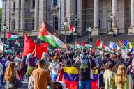 A crowd of protesters carries flags and placards expressing their opinion during a demonstration. Pro-Palestinian protesters stage a demonstration march through the streets of Melbourne CBD towards Parliament of Victoria in Australia. (Photo by Alexander Bogatyrev \/ SOPA Images\/Sipa USA