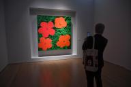 Flowers by Andy Warhol, est. $20,000,000-30,000,000 is seen at Christies Spring 20\/21 Marquee Week Press Preview in New York, NY on May 3, 2024. (Photo by Efren Landaos\/Sipa USA