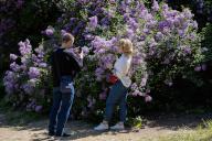 People take pictures of blooming lilacs in a park in central Kyiv. (Photo by Oleksii Chumachenko \/ SOPA Image\/Sipa USA