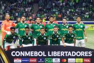 SÃO PAULO, SP - 15.05.2024: PALMEIRAS X INDEPENDIENTE DEL VALLE - The Palmeiras team poses for photos during the match between Palmeiras and Independiente del Valle valid for the 5th round of the Libertadores 2024 group stage held at Allianz Parque in São Paulo on Thursday night (15). (Photo: Yuri Murakami\/Fotoarena\/Sipa USA