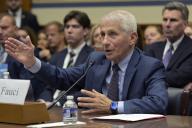 US Former Director of the National Institute of Allergy and Infectious Diseases Anthony Fauci testifying before House subcommittee during a hearing about the USs Covid-19 pandemic response and the origins of the virus, today on Junio 03, 2024 at Rayburn HOB/Capitol Hill in Washington DC, USA. (Photo by Lenin Nolly/Sipa USA