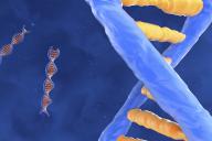 DNA (deoxyribonucleic acid) molecules, illustration