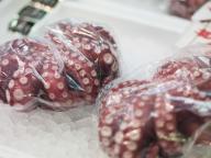 Octopuses at the market, Tokyo
