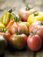 Various varieties of tomatoes