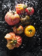 Tomatoes being sprayed with water
