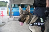 The Yunnan drug detection dog "hurricane" cracked a drug case with narcotics police in Xishuangbanna,Yunnan,China on 25th June, 2021.(Photo by TPG/cnsphotos