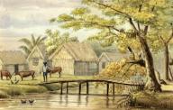 Slave huts on the Sorgvliet coffee plantation in Suriname, 1859, Historic, digitally restored reproduction from a 19th century original