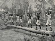 Nigerian porters carrying gun parts across a river to fight slavery, 1800, Historic, digitally restored reproduction from 19th century original