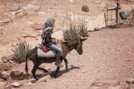 A young male riding a donkey. Petra, is a historic and archaeological city in southern Jordan. Famous for its rock-cut architecture and water conduit system, Petra is also called the 