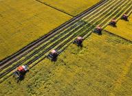 VCG111398360635 JIAMUSI, CHINA - AUGUST 28: Aerial view of combine harvesters working at a paddy field on August 28, 2022 in Jiamusi, Heilongjiang Province of China. (Photo by Guo Hui\/VCG