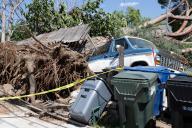 VCG111495479025 MONROVIA, CA - MAY 08: A big tree falls down on a car on May 8, 2024 in Monrovia, California. (Photo by VCG\/VCG 
