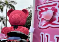 VCG111495699651 HONG KONG, CHINA - MAY 12: Local residents view a 7-meter-high pink bear made up of about 40,000 roses in Tsim Sha Tsui on Mother