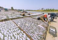 VCG111496909070 SUQIAN, CHINA - MAY 18: Fishermen arrange fish to dry at a village on May 18, 2024 in Suqian, Jiangsu Province of China. (Photo by VCG/VCG 