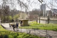 Coffee Kiosk in the spring. The Horseshoe Kiosk, The Royal Parks, Westminster, United Kingdom. Architect: Mizzie Studio , 2021