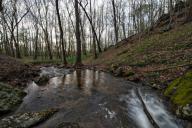 UNITED STATES: April 25, 2018: As temps rise spring flowers are popping up along the low lands and river bottoms of Loudoun. Here a stream shows the signs of good rain fall during the early spring season. (Photo by Douglas Graham/Loudoun Now)