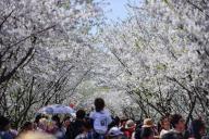 (240329) -- NINGBO, March 29, 2024 (Xinhua) -- People view flowers at a park in Ningbo, east China\'s Zhejiang Province, March 29, 2024. The warm weather and blooming flowers are attracting people out of their homes to enjoy the spring. (Photo by Yin Fujun\/Xinhua