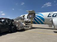 (240419) -- NORTH SINAI (EGYPT), April 19, 2024 (Xinhua) -- Workers unload China-aided humanitarian supplies to Gaza Strip from a plane at the Al-Arish airport in North Sinai Province, Egypt, on April 19, 2024. A batch of humanitarian supplies provided by the Chinese government to Palestinians arrived at the Al-Arish airport on Friday. To ease the dire humanitarian situation in Gaza, the Chinese government has continued to provide aid to Palestine and has sent several batches of food, medicine and other emergency humanitarian aid to the strip through Egypt, according to the Chinese embassy in Egypt. (Xinhua