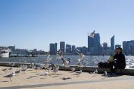 (240429) -- PERTH, April 29, 2024 (Xinhua) -- A visitor feeds seagulls by the Swan River in Perth, Australia, April 29, 2024. (Xinhua\/Ma Ping