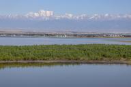 (240510) -- WUJIAQU, May 10, 2024 (Xinhua) -- This photo taken on May 9, 2024 shows the Qinggeda lake wetland in Wujiaqu, northwest China