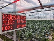 (240513) -- CHONGREN, May 13, 2024 (Xinhua) -- This photo taken on Feb. 1, 2024 with a mobile phone shows a greenhouse with a sensor which can monitor the intensity of illumination and carbon dioxide concentration in real time in Chongren County, east China