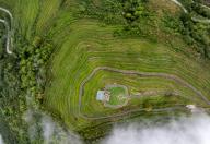 (240514) -- LHASA, May 14, 2024 (Xinhua) -- An aerial drone photo taken on April 24, 2024 shows a tea garden in Gelin Village of Medog County, southwest China\'s Xizang Autonomous Region. TO GO WITH "Across China: Tea industry flourishes in former secluded valley in Xizang" (Xinhua\/Jiang Fan