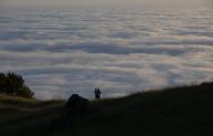 (240515) -- MARIN COUNTY, May 15, 2024 (Xinhua) -- This photo taken on May 14, 2024 shows a sea of clouds at Marin County of California, the United States. (Photo by Li Jianguo/Xinhua