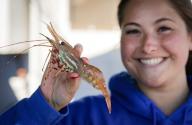 (240518) -- RICHMOND, May 18, 2024 (Xinhua) -- A woman presents a spot prawn at Steveston Fisherman