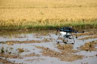 (240523) -- SUKOHARJO, May 23, 2024 (Xinhua) -- This photo taken on May 23, 2024 shows an agricultural drone flying over a paddy field in Sukoharjo, Central Java, Indonesia. Agricultural drones are used here to help local farmers do farm work in a more efficient, convenient and safe way. (Photo by Bram Selo/Xinhua
