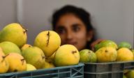 (240524) -- BENGALURU, May 24, 2024 (Xinhua) -- Fresh mangoes are pictured at a mango festival in Bengaluru, India, May 24, 2024. (Str/Xinhua