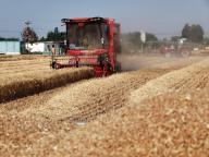 (240527) -- ZHUMADIAN, May 27, 2024 (Xinhua) -- Farmers drive harvesters through a wheat field in Shuitun Township in Zhumadian City, central China