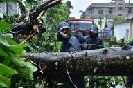 (240528) -- ASSAM, May 28, 2024 (Xinhua) -- State Disaster Response Force (SDRF) personnel clear a road blocked by an uprooted tree after cyclone Remal