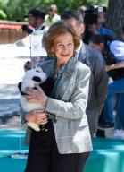 (240530) -- MADRID, May 30, 2024 (Xinhua) -- Former Spanish Queen Sofia holds a giant panda doll at Madrid Zoo in Madrid, Spain, on May 30, 2024. Visitors to Spain