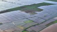 (240602) -- YINCHUAN, June 2, 2024 (Xinhua) -- An aerial drone photo taken on May 30, 2024 shows the paddy fields along the Yellow River in Yinchuan, northwest China