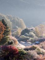 Cold wave A frosted "Secret Garden," a forest in Inje, about 120 kilometers northeast of Seoul, commands a magnificent view on Oct. 18, 2022, amid a cold wave alert, issued for the first time this season in the region. (Yonhap)/2022-10-18 08:55:05/ < 1980-2022 YONHAPNEWS AGENCY. 