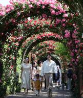 Rose festival in Seoul Citizens walk through a tunnel of roses along Jungnang Stream in Seoul on May 13, 2024, during the opening of a rose festival. (Yonhap)/2024-05-13 15:01:37/ < 1980-2024 YONHAPNEWS AGENCY. 